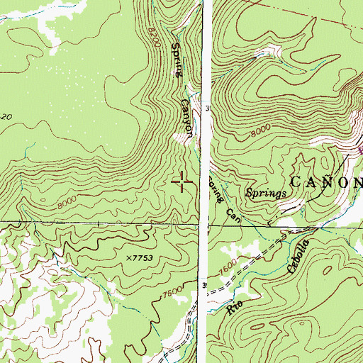 Topographic Map of APS Camp, NM