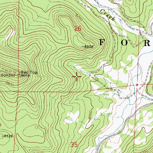 Topographic Map of Redtop Spring, NM
