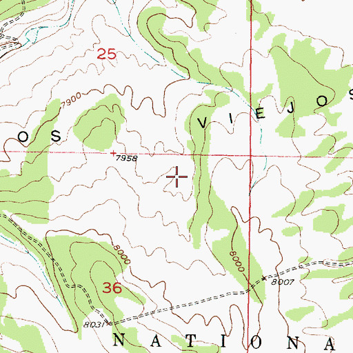 Topographic Map of Frenchy Tank, NM