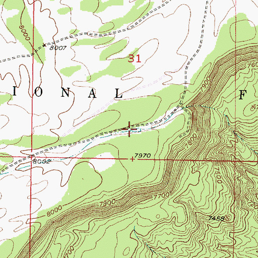 Topographic Map of Rim Tank, NM