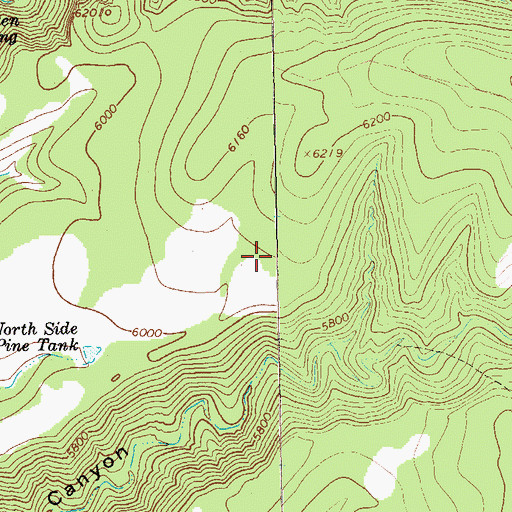 Topographic Map of North Side Pine Corral, NM