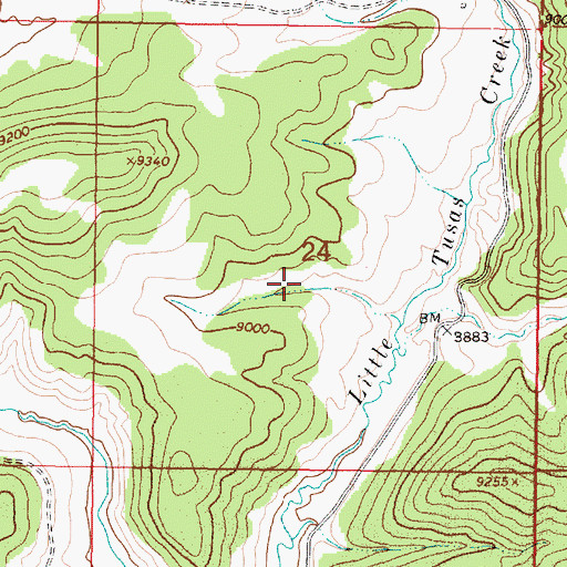 Topographic Map of Willow Tank, NM