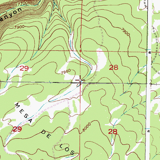 Topographic Map of Cedar Tank, NM