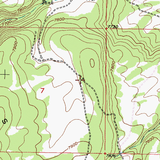 Topographic Map of White Place, NM