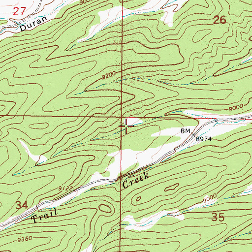 Topographic Map of Deer Tank, NM