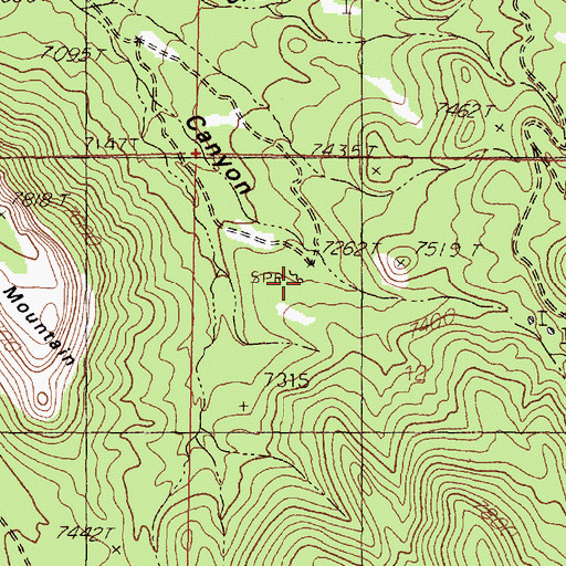 Topographic Map of McDonald Spring, NM
