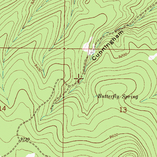 Topographic Map of Cunningham Tank, NM