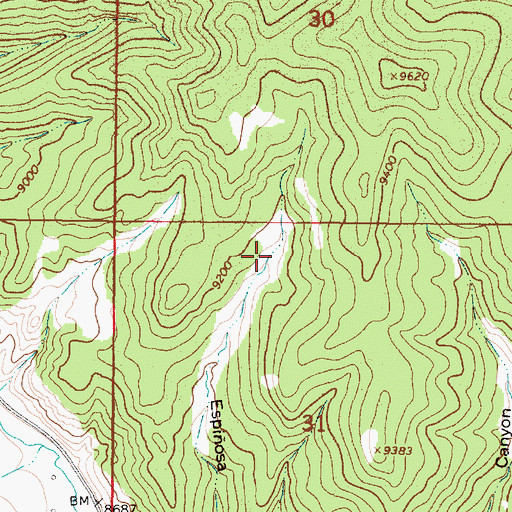 Topographic Map of Espinosa Tank, NM