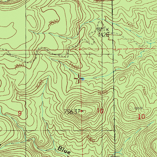 Topographic Map of Fork Tank, NM