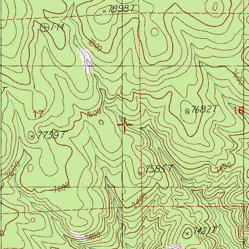 Topographic Map of Booth Hollow Tank, NM