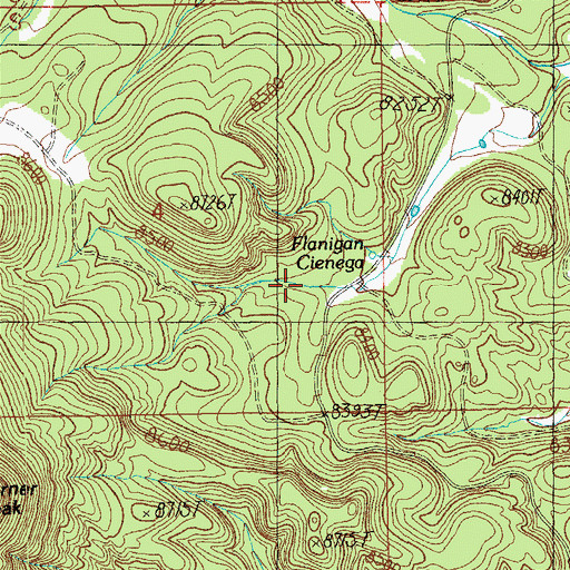 Topographic Map of Flanigan Spring, NM
