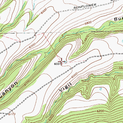 Topographic Map of Jim Tank, NM