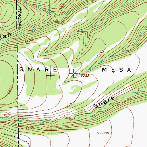 Topographic Map of Snare Mesa Tank, NM