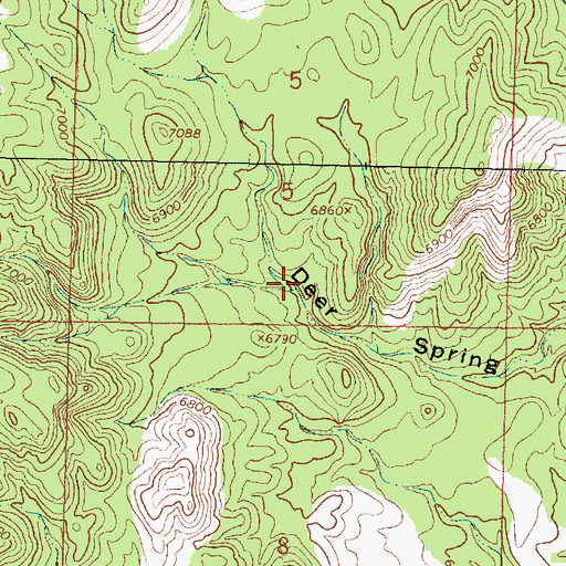 Topographic Map of Deer Spring, NM