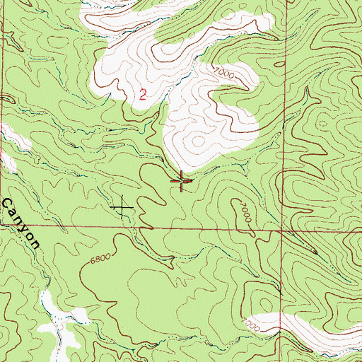 Topographic Map of Grapevine Spring, NM