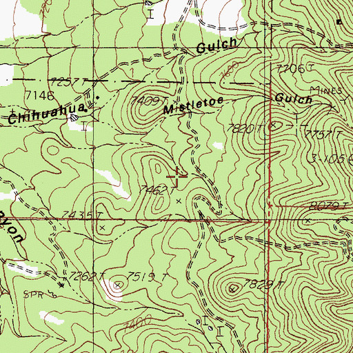 Topographic Map of Pony Spring, NM