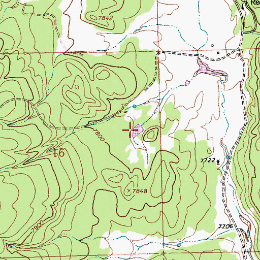 Topographic Map of Section Tank, NM