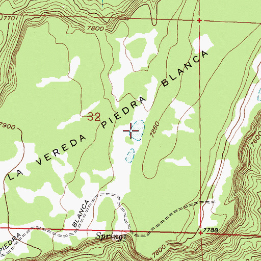Topographic Map of Piedra Blanca Tank, NM