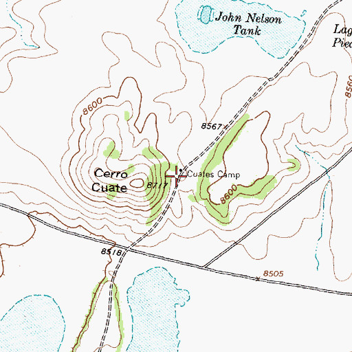 Topographic Map of Cuates Camp, NM