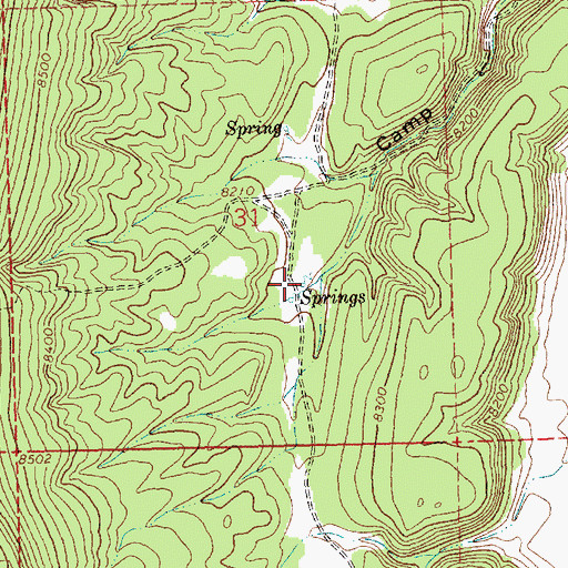 Topographic Map of Camp Two Spring, NM