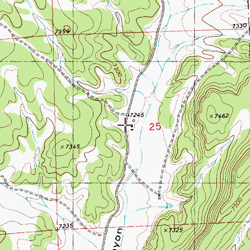 Topographic Map of Bull Ranch, NM