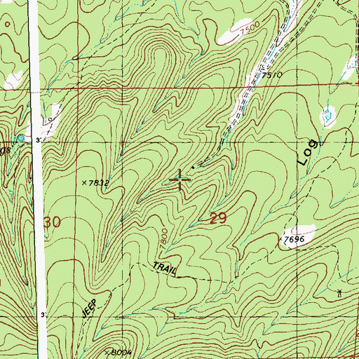 Topographic Map of Thurmond Ranch, NM