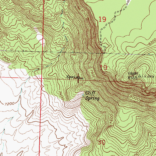 Topographic Map of Pumice Spring, NM