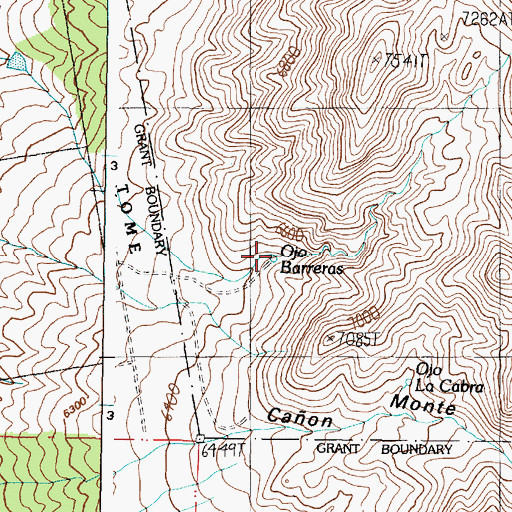 Topographic Map of Ojo Barreras, NM