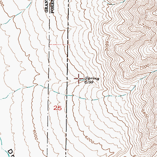 Topographic Map of Ojo Chiquito, NM