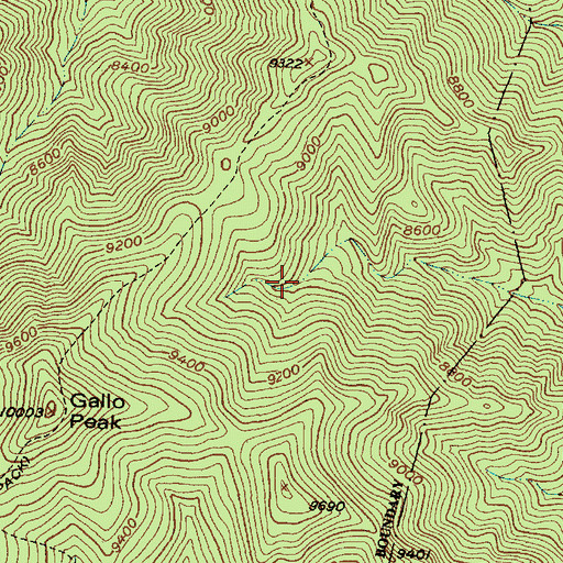 Topographic Map of Spruce Spring, NM