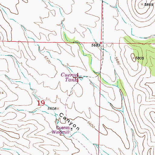 Topographic Map of Cuervo Tank, NM