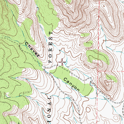 Topographic Map of Bald Tank, NM