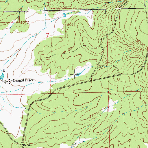 Topographic Map of Basgal Tank, NM