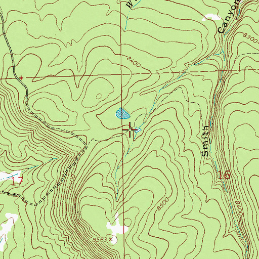 Topographic Map of Rim Site Tank, NM