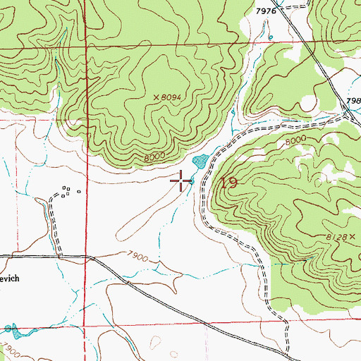 Topographic Map of Lower Section Nineteen Tank, NM
