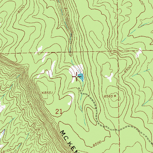 Topographic Map of Mesa Tank, NM