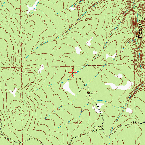 Topographic Map of McKenzie Tank, NM