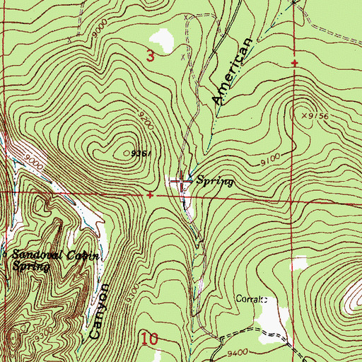 Topographic Map of Lower American Spring, NM