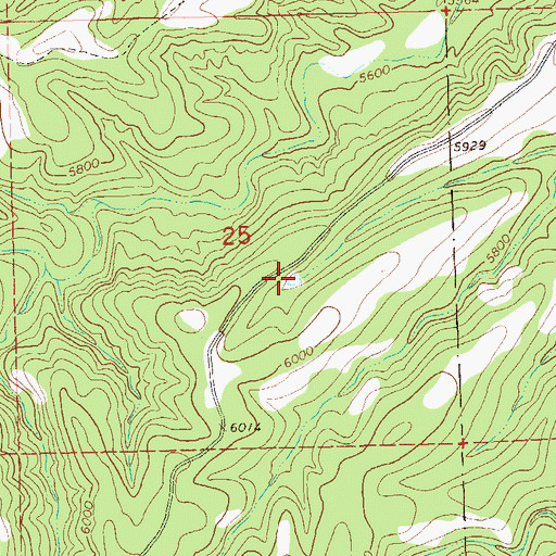 Topographic Map of Roadside Tank, NM