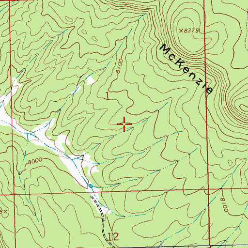 Topographic Map of Deer Stock Tank, NM