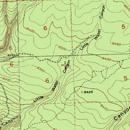 Topographic Map of Water Canyon Spring, NM