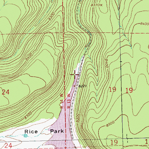 Topographic Map of Rice Park Dam, NM