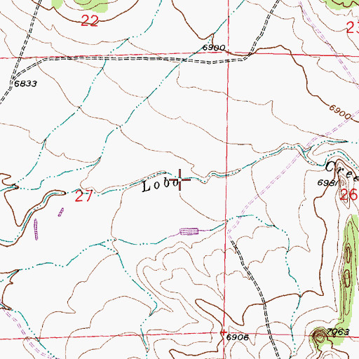 Topographic Map of Lobo Stock Tank, NM