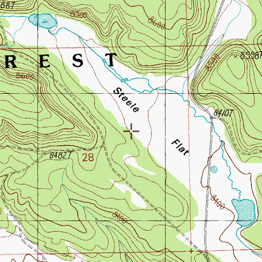 Topographic Map of Steele Flat, NM