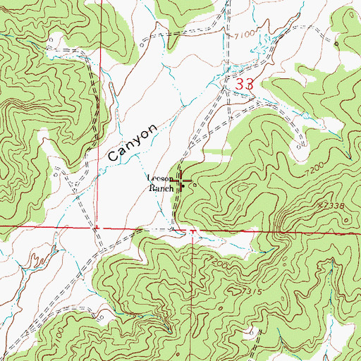 Topographic Map of G W Leeson Spring, NM