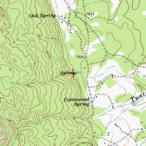 Topographic Map of Missionary Springs, NM