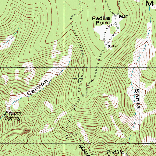 Topographic Map of Upper Padilla Spring, NM