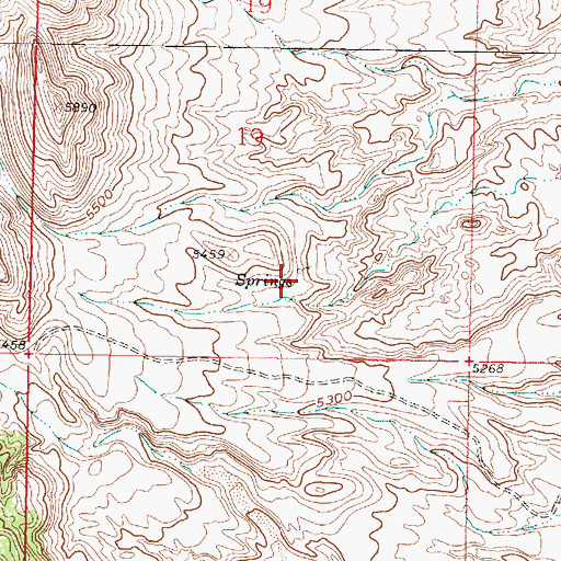 Topographic Map of Ojitos Spring, NM