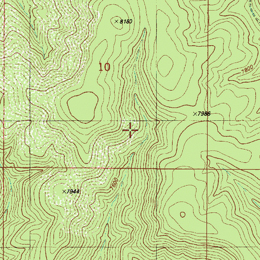 Topographic Map of North Spring, NM