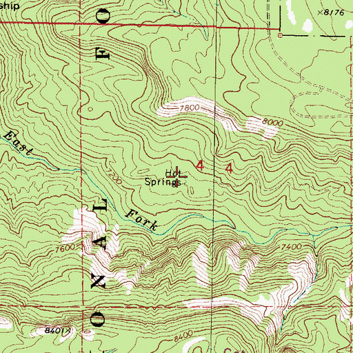 Topographic Map of McCauley Spring, NM